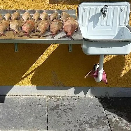 Am Oase Am Vilzsee 아파트