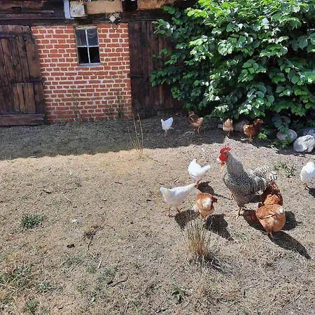 아파트 Am Oase Am Vilzsee Diemitz (Mecklenburgische Seenplatte)