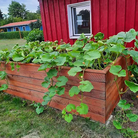 Am Oase Am Vilzsee * Diemitz (Mecklenburgische Seenplatte)