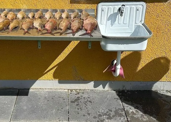 Am Oase Am Vilzsee Apartamento