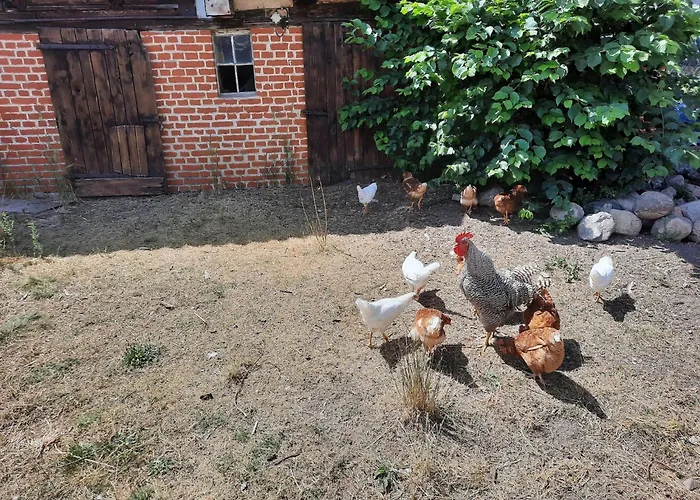 Apartamento Am Oase Am Vilzsee Diemitz (Mecklenburgische Seenplatte)