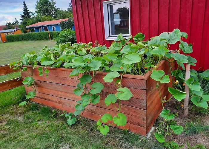 Am Oase Am Vilzsee * Diemitz (Mecklenburgische Seenplatte)