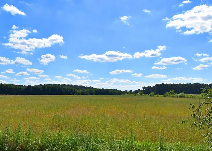 Am Oase Am Vilzsee * Diemitz (Mecklenburgische Seenplatte)
