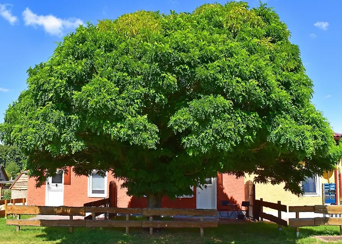 Am Oase Am Vilzsee * Diemitz (Mecklenburgische Seenplatte)